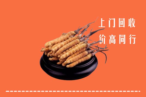 点军区回收散虫草