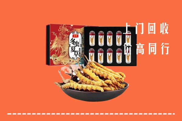 点军区回收虫草